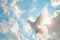 White Bird Flying Through Cloudy Blue Sky Royalty Free Stock Photo