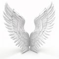 White bird wings with feathers, angel wings isolated on white close-up, for tattoo, Royalty Free Stock Photo