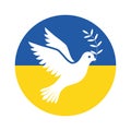 White bird of the world on the background of a circle in the colors of the flag of Ukraine. Peace concept. Dove with a twig in its Royalty Free Stock Photo