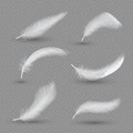 White birds feather icon set, vector realistic illustration Royalty Free Stock Photo