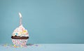 White Birthday Cupcake with sprinkles Royalty Free Stock Photo