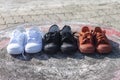 White, black and brown sneakers of student are washed and dried in the sun. Royalty Free Stock Photo