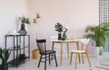 White and black chair at wooden table with plant in dining room interior with gold lamp. Real photo Royalty Free Stock Photo