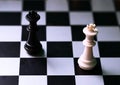 White and black chess figures on board. Chess game position. Black and white king. Royalty Free Stock Photo