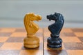 White and black chess horses stand opposite each other Royalty Free Stock Photo