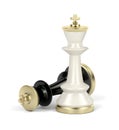 White and black chess kings