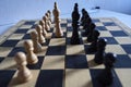 White and black chess kings and pawns on chessboard