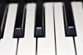 White and black keys of the piano or keyboard Royalty Free Stock Photo