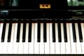 White and black keys of a piano keyboard Royalty Free Stock Photo
