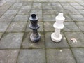 White and black Kings chess in plastic