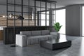 White and black living room corner, gray sofa Royalty Free Stock Photo