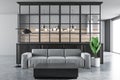 White and black living room, gray sofa Royalty Free Stock Photo