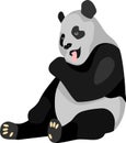 The White Black Panda Animal