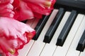 White and black piano keys and pink flowers