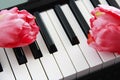 White and black piano keys and pink flowers