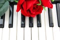 White and black piano keys and red rose flower Royalty Free Stock Photo