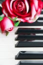 White and black piano keys and red rose flower Royalty Free Stock Photo