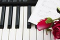 White and black piano keys and a red rose Royalty Free Stock Photo