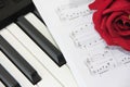 White and black piano keys and a red rose Royalty Free Stock Photo