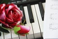 White and black piano keys and a red rose Royalty Free Stock Photo