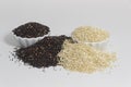 White and black quinoa still life