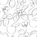 White and black seamless pattern of apples, leaves, fruits and flowers, 1000x1000 pixels Royalty Free Stock Photo