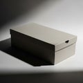 White and black shoe box with lid open Royalty Free Stock Photo