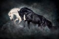 White and black stallion run and play Royalty Free Stock Photo