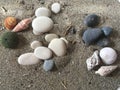 White and black stones sea urchin adn shells on the sand