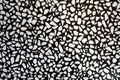 White and black terrazzo floor texture background. Abstract pattern. Royalty Free Stock Photo