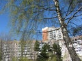 White and black trunk and branches of a birch with green leaves near a high-rise building.