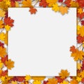 White blank with autumn maple leaves