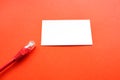 A white blank business card on a red paper background and an Internet cable next to it Royalty Free Stock Photo