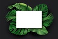 White blank card with green exotic jungle leaves on black background. Monstera, philodendron, fan palm, banana leaf