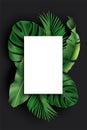 White blank card with green exotic jungle leaves on black background. Monstera, philodendron, fan palm, banana leaf