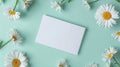 White Blank Card Mockup With Daisies Flowers in Decoration Against A Green Background. Spring Greeting Card Mockup Template Royalty Free Stock Photo