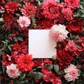 White blank card with space for your own content. Around red and pink flowers, flower petals. Valentine\'s Day as a day symb Royalty Free Stock Photo