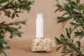 White blank cosmetic bottle on stone framed by green leaves of branches, beige background. Natural Organic Spa Cosmetic Royalty Free Stock Photo