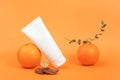 White blank cosmetic bottle, tube of cream, lotion for body, face or hand, orange fruit and green branch eucalypt. Concept Royalty Free Stock Photo