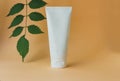 White blank cosmetic bottle tube with green leaves of branches, beige background. Natural Organic Spa Cosmetic Beauty Royalty Free Stock Photo