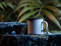 White Blank Enameled Mug With Copy Space On Rock On Exotic Forest Background. 3d rendering.