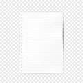 White blank lined A4 hole punched filler paper sheet for ring bound notebook on transparent background. Vector mock-up Royalty Free Stock Photo