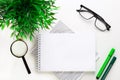 White blank notepad, magnifier, green markers, smartphone and potted plant on a light table. Flat lay. Copy space Royalty Free Stock Photo