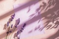 White blank paper card laying in shadows next to some lavender flowers on pale pink background. Top view, copy space Royalty Free Stock Photo