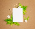 The White blank paper sheet with fresh spring green leafs borde Royalty Free Stock Photo