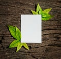 White blank paper sheet with fresh spring green leafs border fr Royalty Free Stock Photo