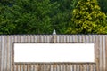 White blank rusty billboard or placard on a wooden wall in the nature. Store front