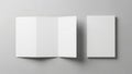 Blank tri-fold brochure and closed brochure mockup on a grey background Royalty Free Stock Photo