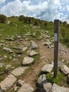 White Blaze on the Appalachian Trail