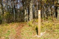 White Blazes on the Appalachian Trail Royalty Free Stock Photo